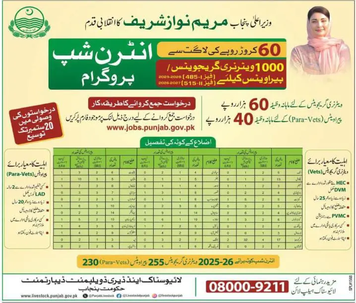 Www.jobs.punjab.gov.pk Internship 2025 Advertisement