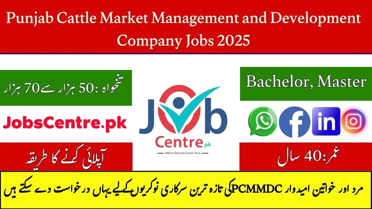 jobs.punjab.gov.pk PCMMDC Jobs 2025