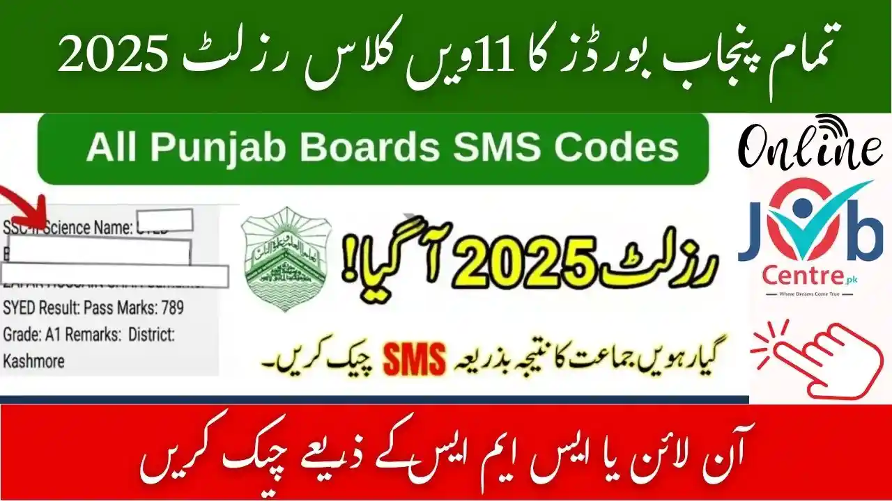BISE Punjab Boards 11th Class Result