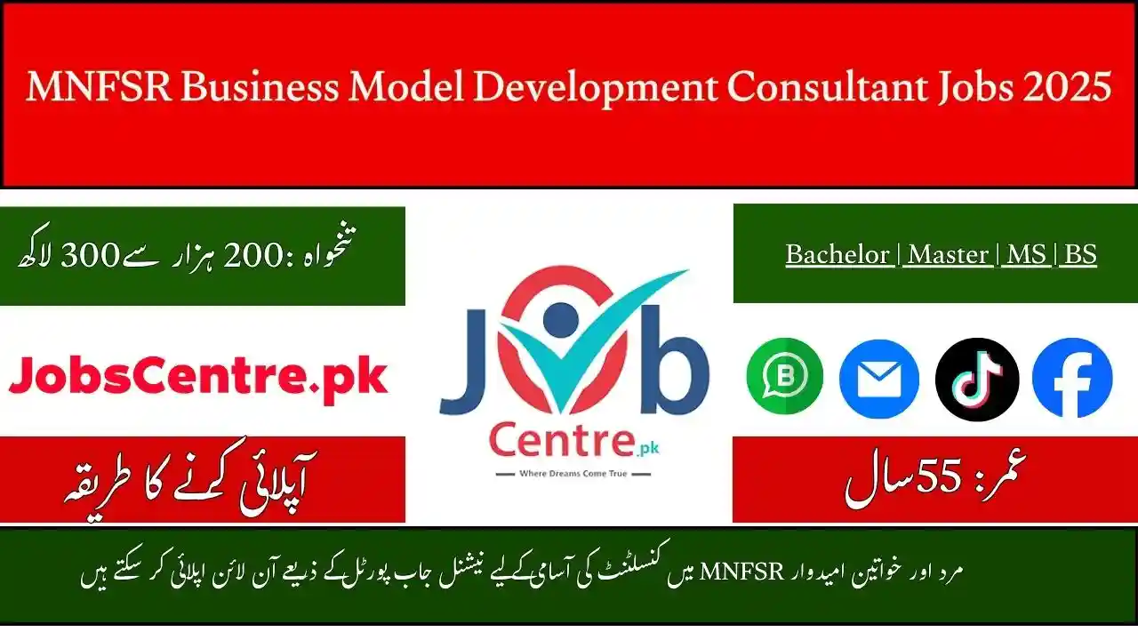 MNFSR Business Model Development Consultant Jobs 2025