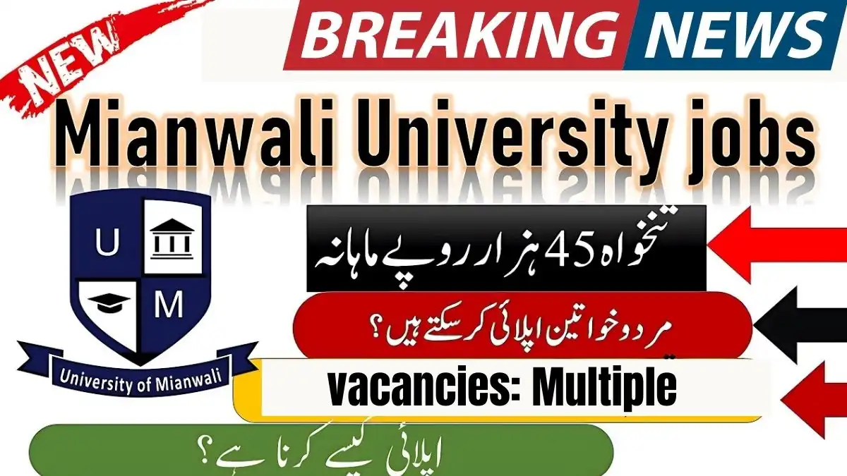 University of Mianwali New Govt Jobs