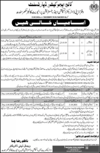 College Education Department Sindh Jobs
