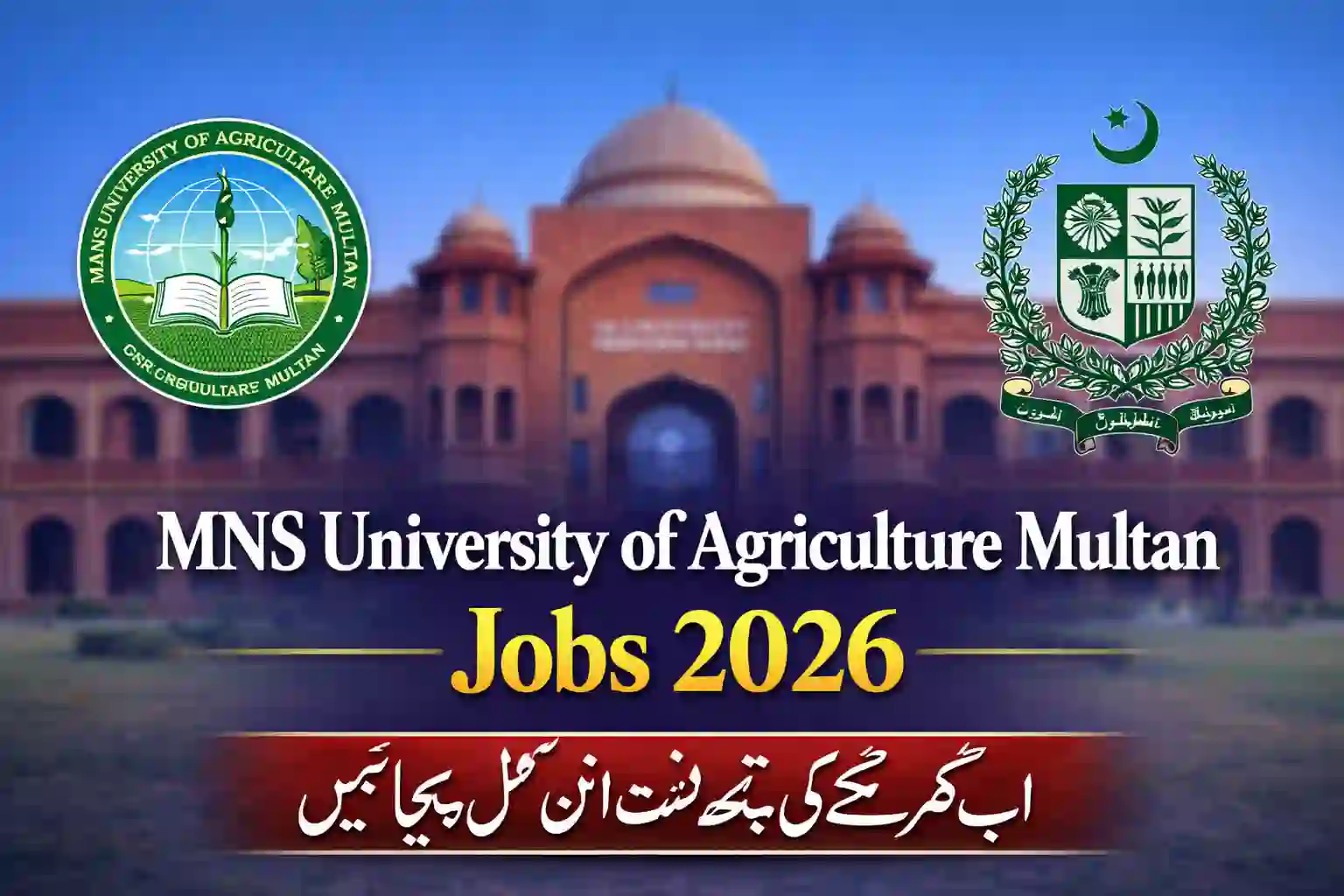 MNS University of Agriculture Multan Jobs 2026