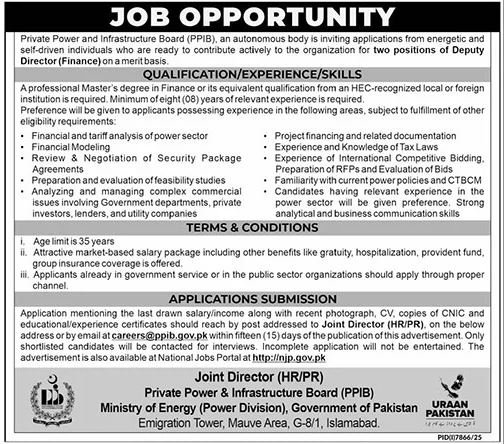 PPIB Director Finance Jobs 2026